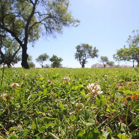 Apartman Casa Belavista - Baia *